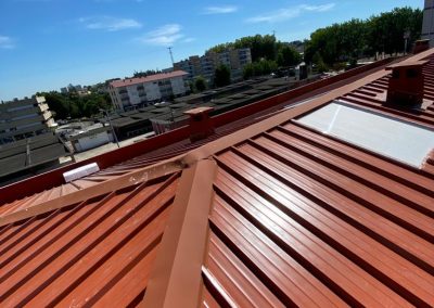 REABILITAÇÃO DE TELHADO COM NOVA ESTRUTURA EM FERRO E APLICAÇÃO DE ESPANTA PÁSSAROS